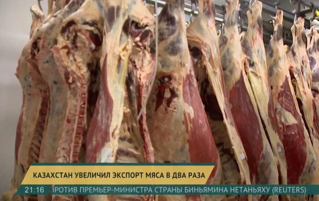 Казахстан увеличил экспорт мяса