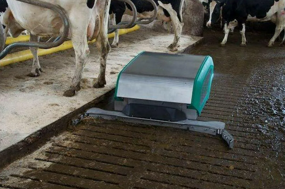 Переработка коров. Система навозоудаления КРС. ЭПК -1300 щелевые полы для коровников. Скребковая система навозоудаления. Системы навозоудаления на ферме КРС.